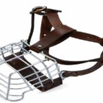 Mouth Speculum